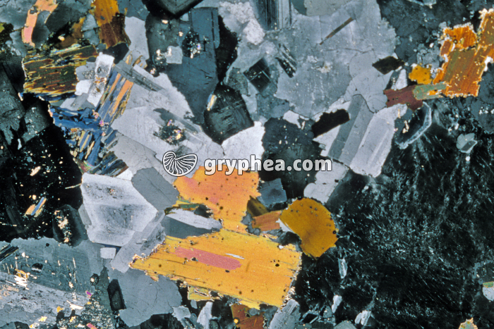 Granite LPA x3 - gryphea.com